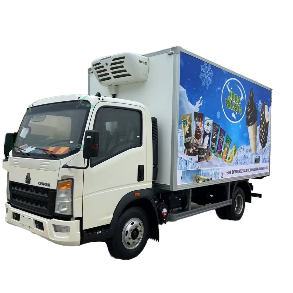 HOWO 5-Ton Refrigerated Truck Solution for Frozen Food & Logistics , Customizable Options